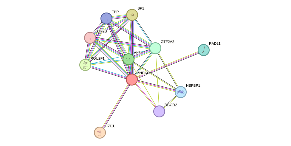 STRING protein interaction network