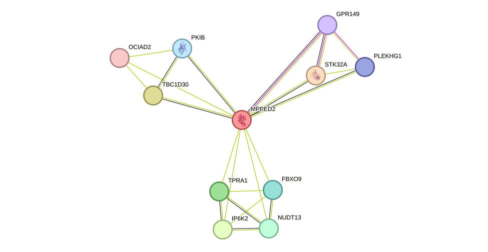 STRING protein interaction network