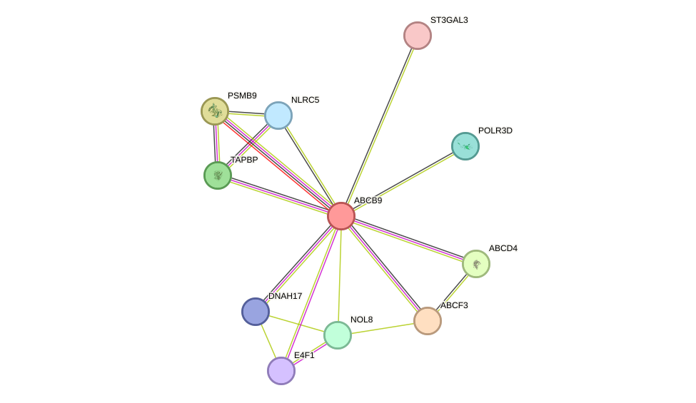 STRING protein interaction network