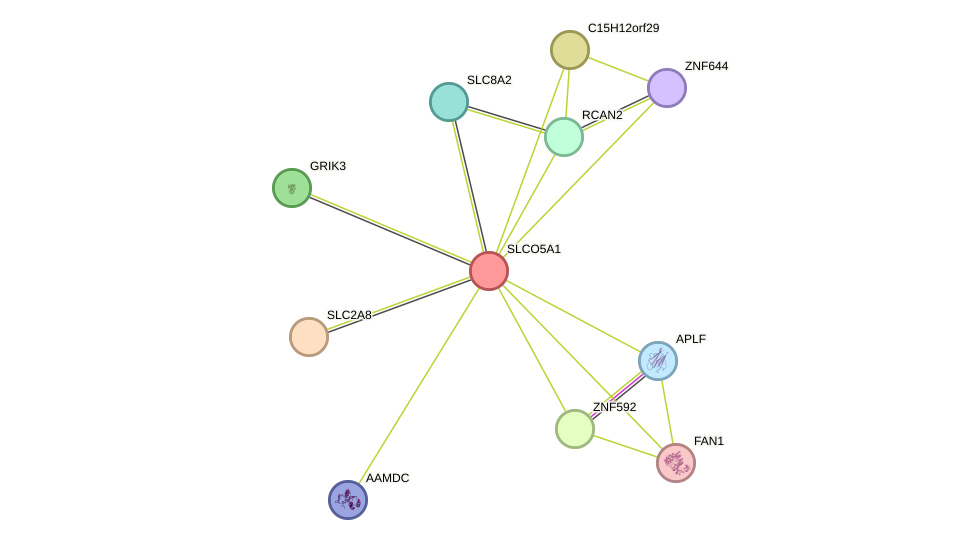 STRING protein interaction network