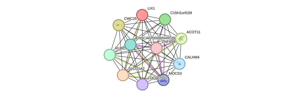 STRING protein interaction network