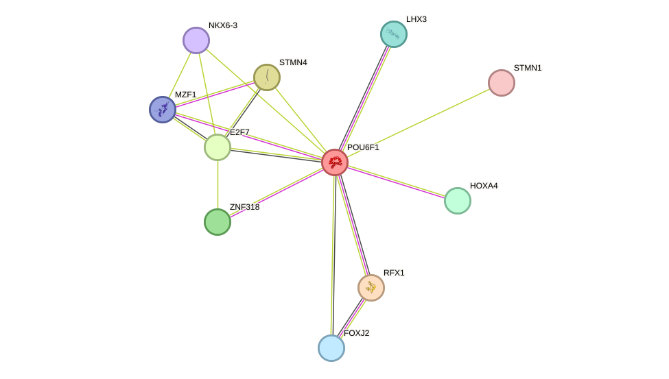 STRING protein interaction network