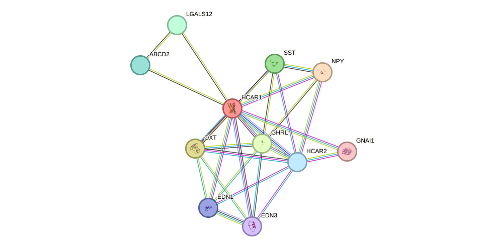 STRING protein interaction network