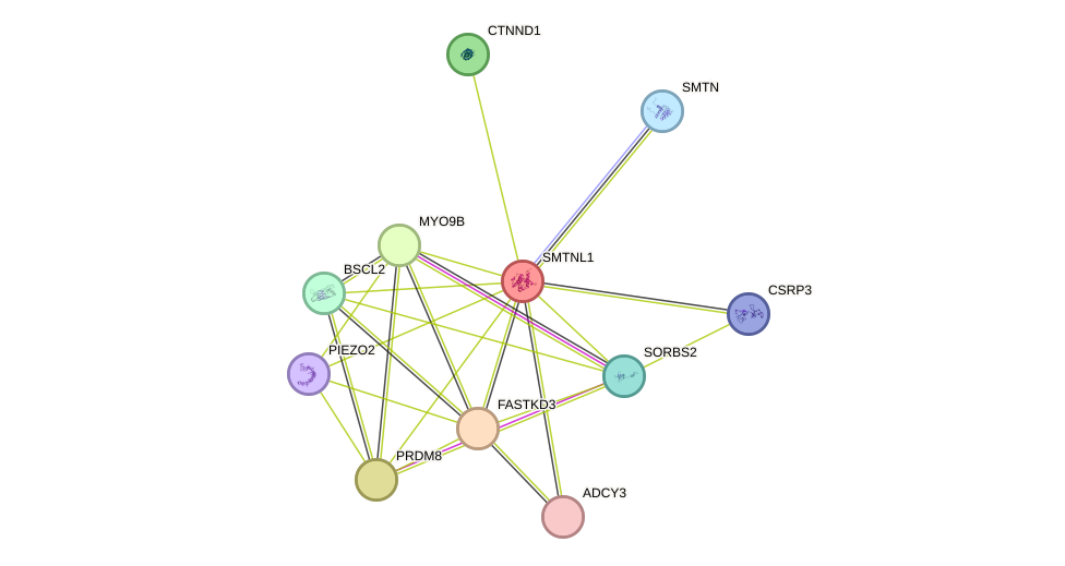 STRING protein interaction network