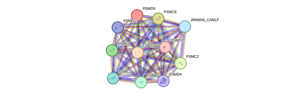 STRING protein interaction network