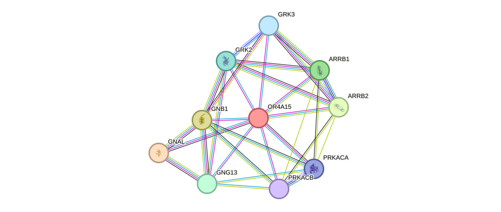 STRING protein interaction network