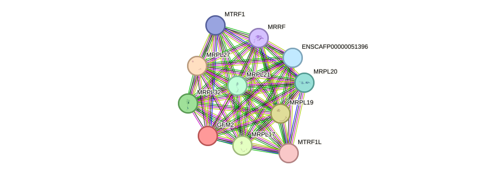 STRING protein interaction network