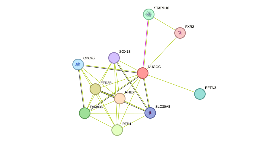 STRING protein interaction network