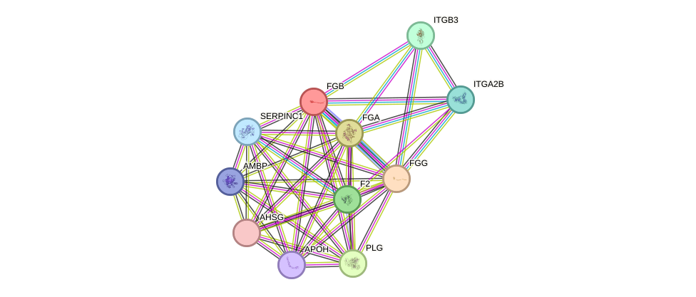STRING protein interaction network