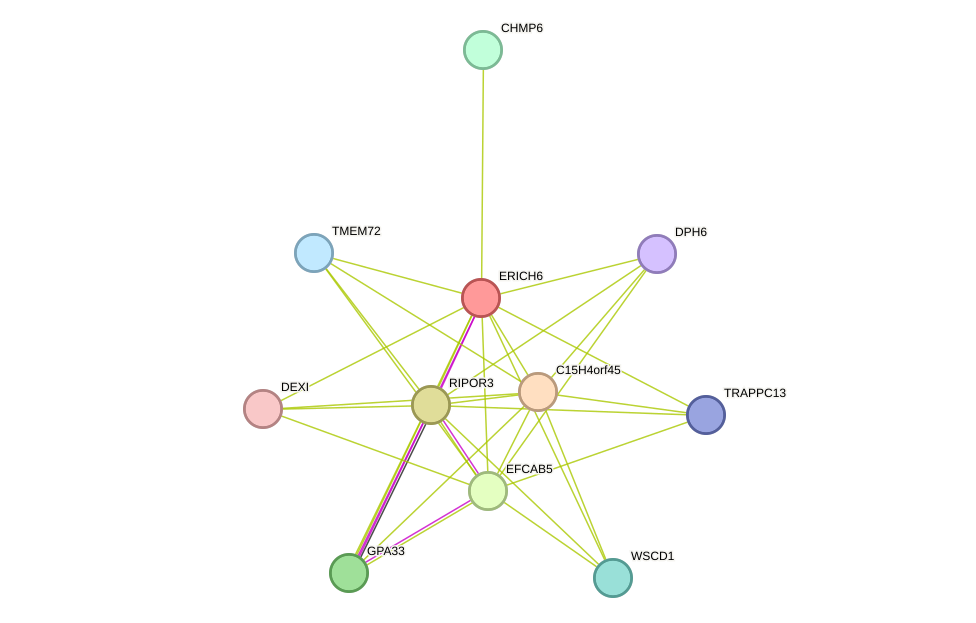 STRING protein interaction network