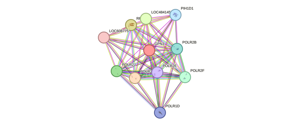 STRING protein interaction network