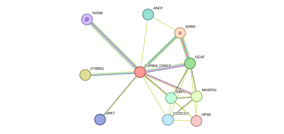 STRING protein interaction network