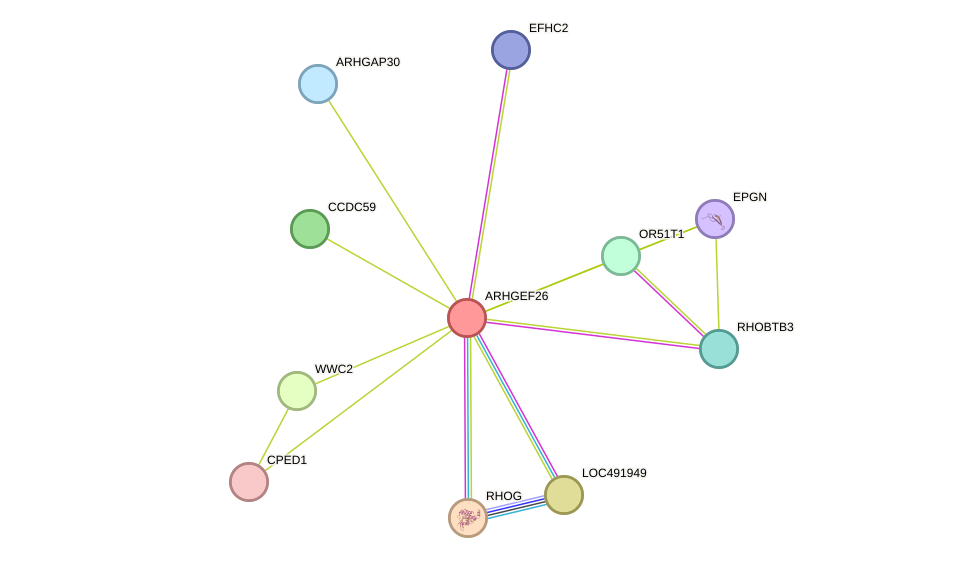 STRING protein interaction network