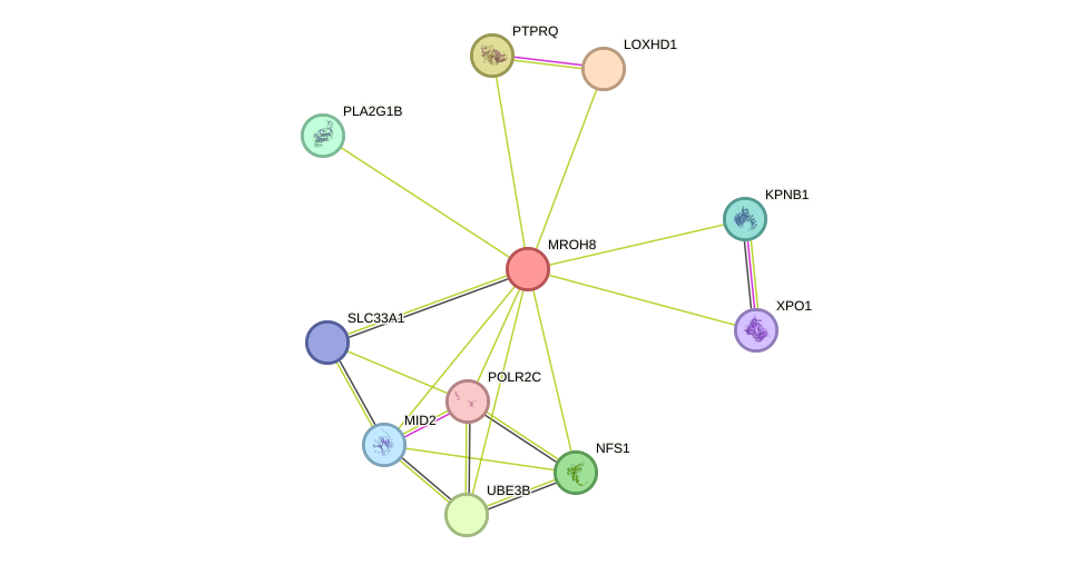 STRING protein interaction network
