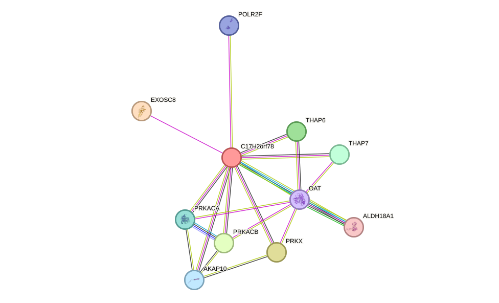STRING protein interaction network