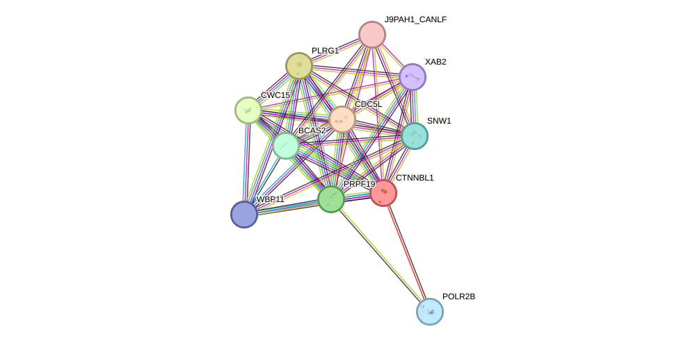 STRING protein interaction network