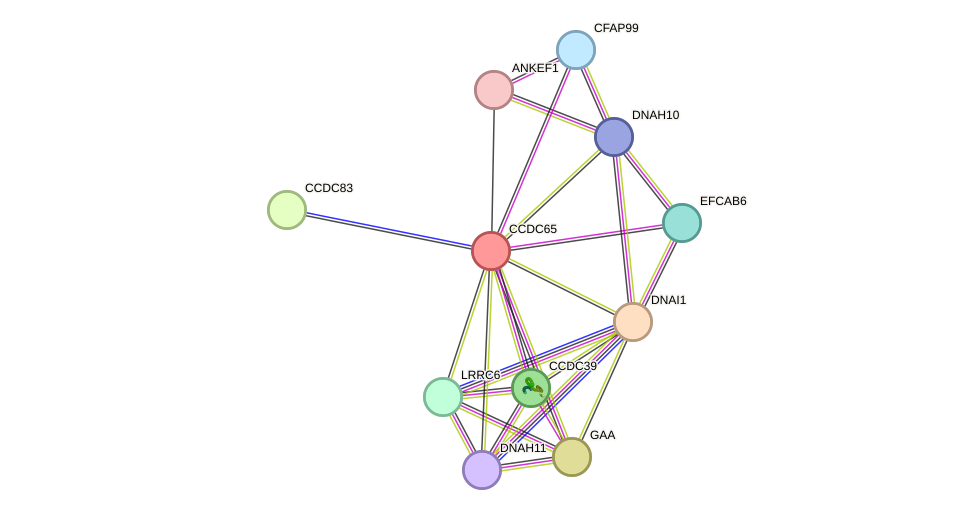 STRING protein interaction network