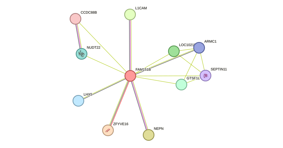 STRING protein interaction network
