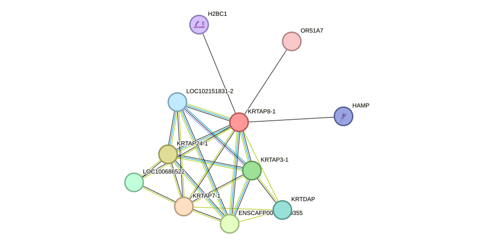 STRING protein interaction network