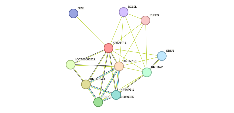 STRING protein interaction network