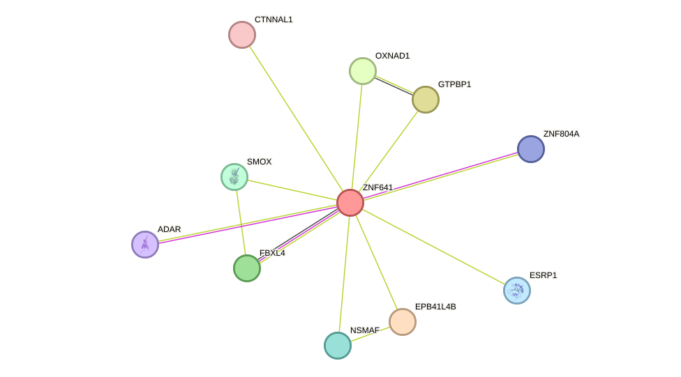 STRING protein interaction network