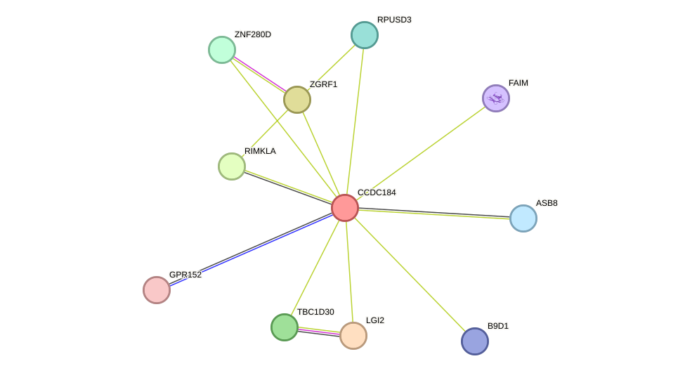 STRING protein interaction network