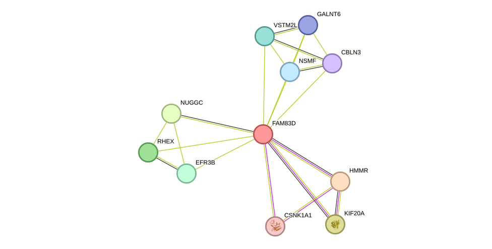 STRING protein interaction network