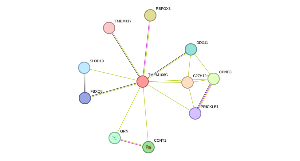STRING protein interaction network