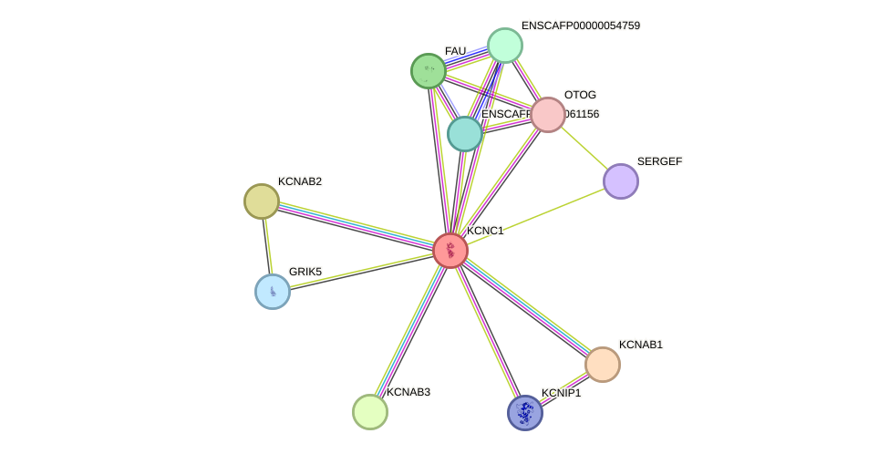 STRING protein interaction network