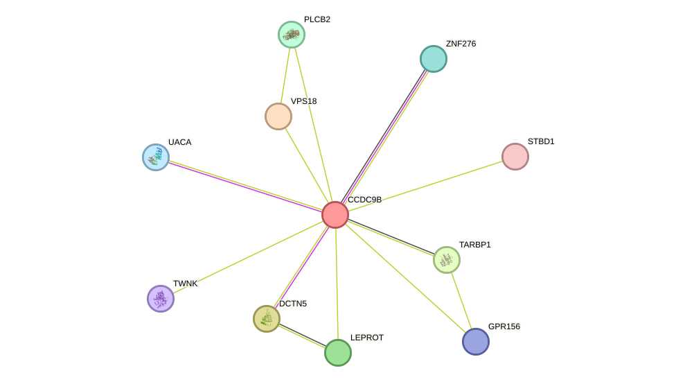 STRING protein interaction network