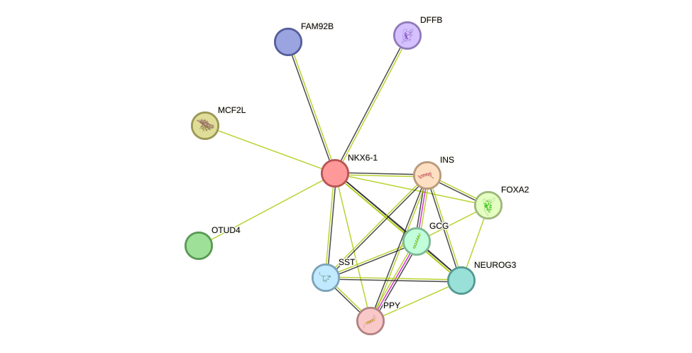 STRING protein interaction network