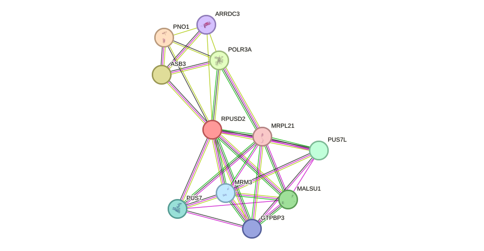 STRING protein interaction network