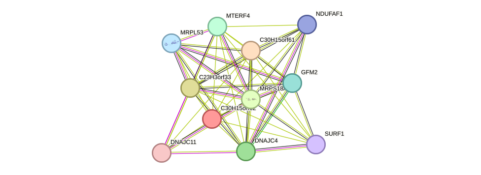 STRING protein interaction network