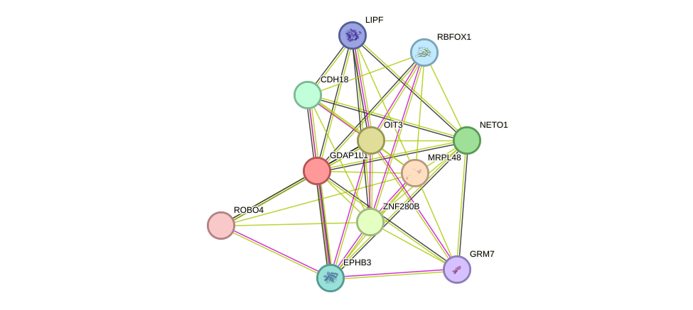 STRING protein interaction network