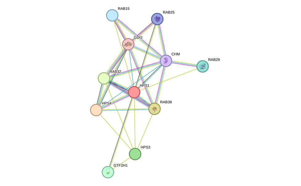 STRING protein interaction network