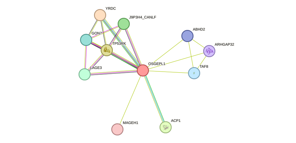 STRING protein interaction network
