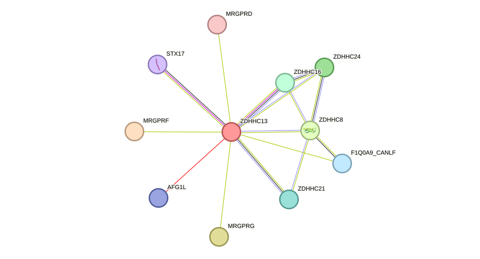 STRING protein interaction network