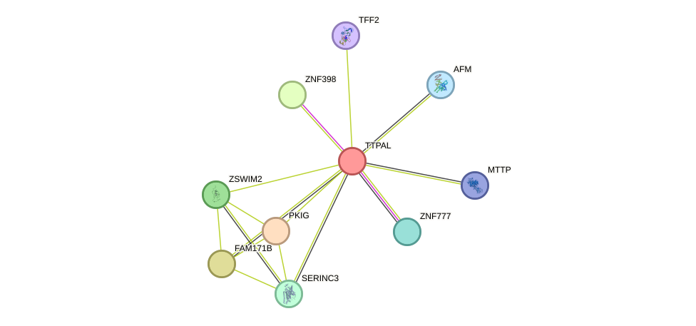 STRING protein interaction network