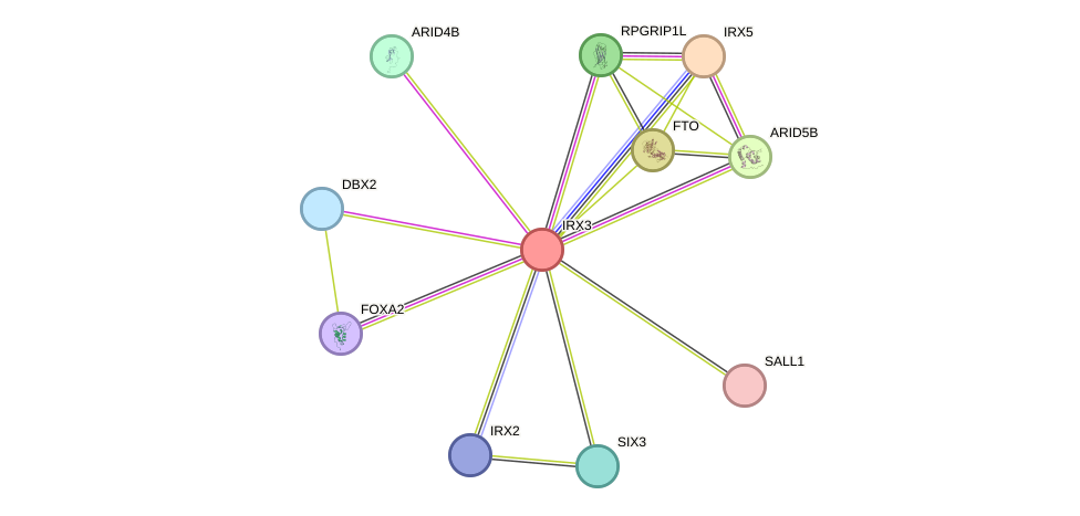 STRING protein interaction network