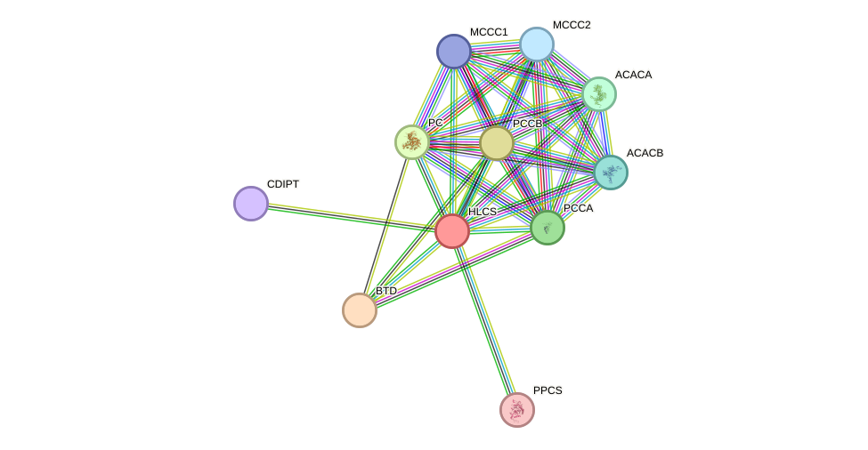 STRING protein interaction network