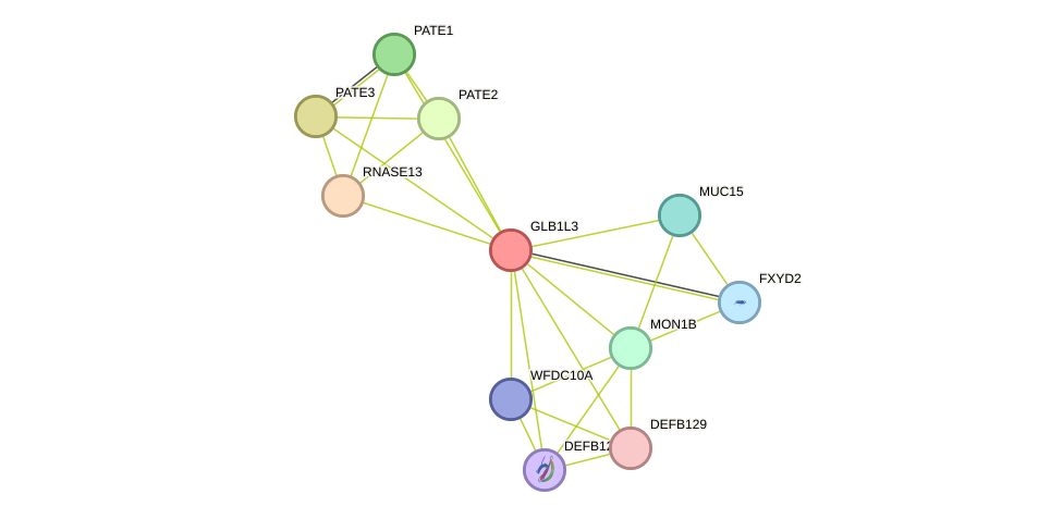 STRING protein interaction network