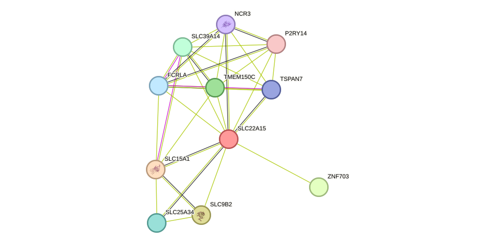 STRING protein interaction network
