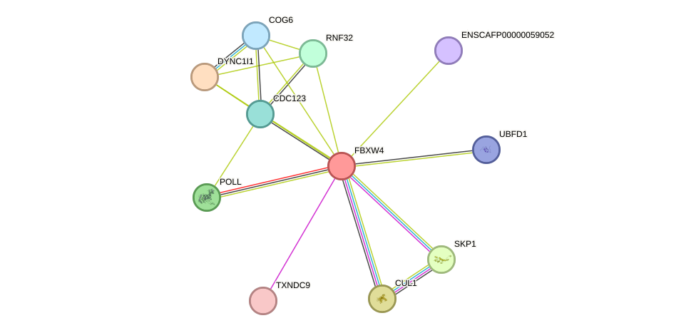 STRING protein interaction network