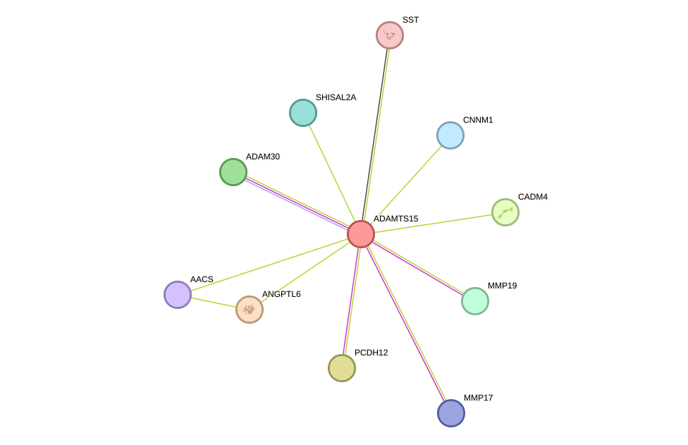 STRING protein interaction network