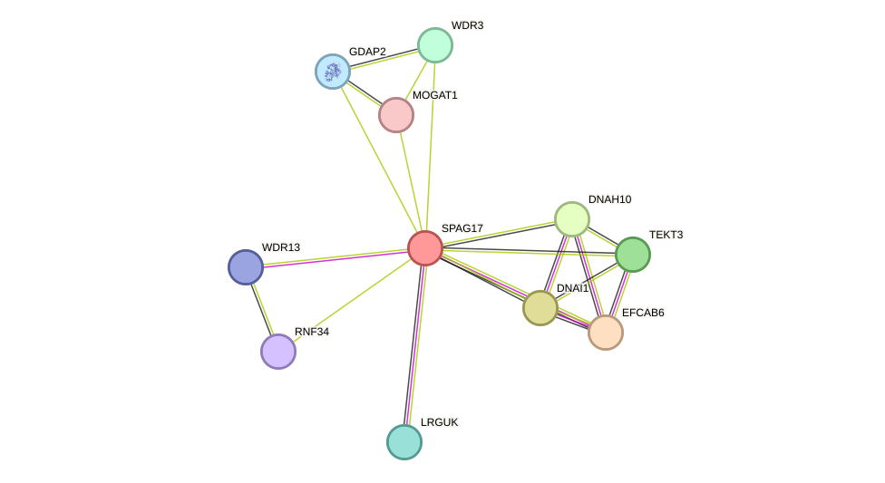 STRING protein interaction network
