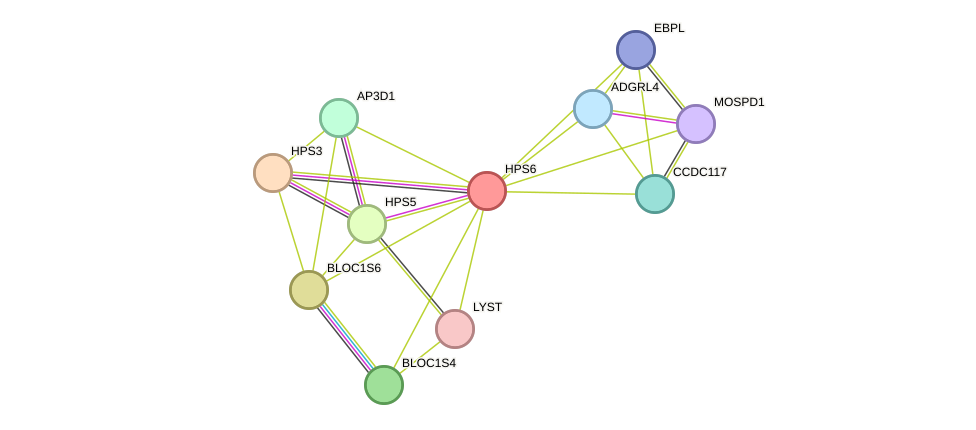 STRING protein interaction network