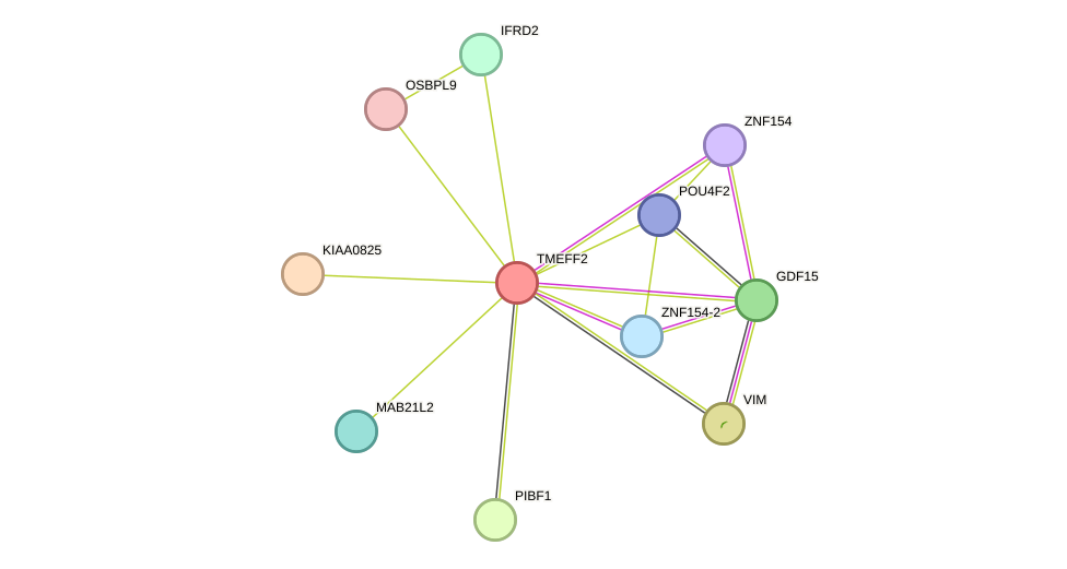 STRING protein interaction network