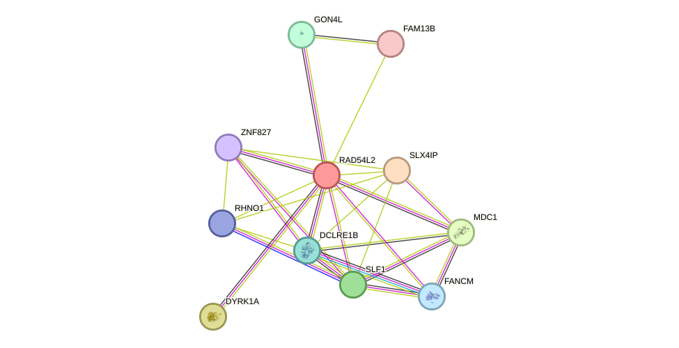STRING protein interaction network