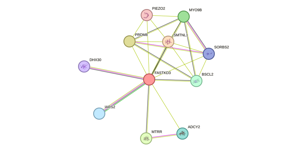 STRING protein interaction network