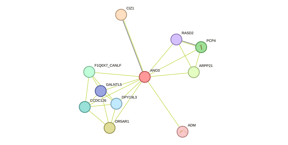 STRING protein interaction network